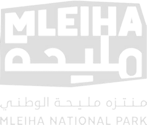 6e498671-e1a2-4512-a7b6-40326135906a